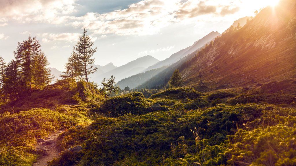 «Le Sang», extrait n° 12