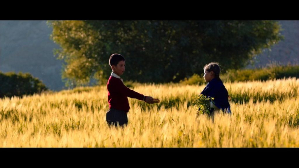 «Walking with the wind»