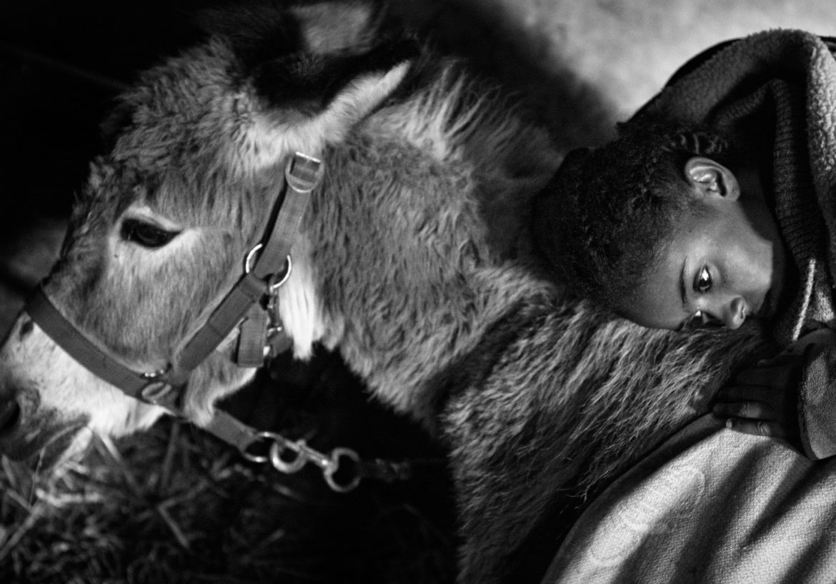 Fortuna 3 – © Vega Film