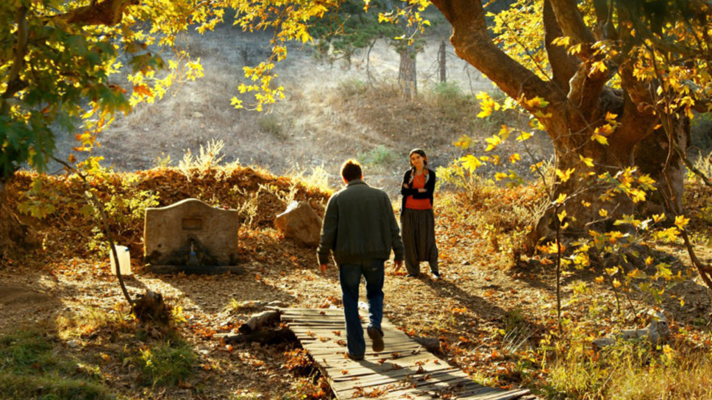 «Der wilde Birnbaum»