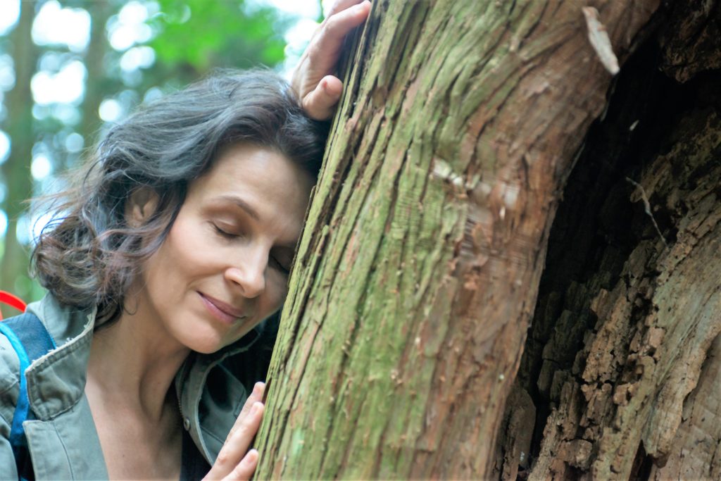 «Reise nach Yoshino (Vision)»: ein Shinrin-Yoku