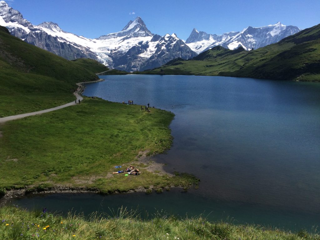 Warum leugnen Sie die Realität?