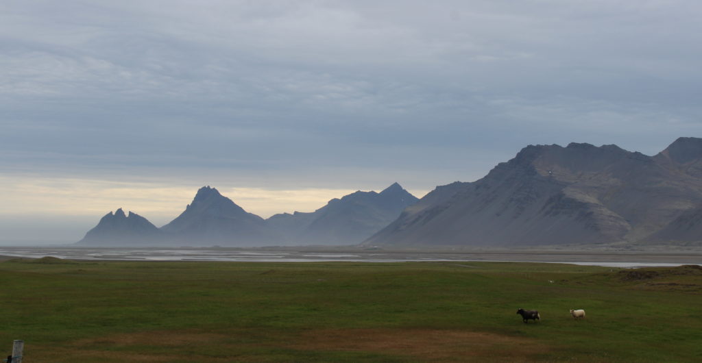 Die Saga der isländischen Literatur