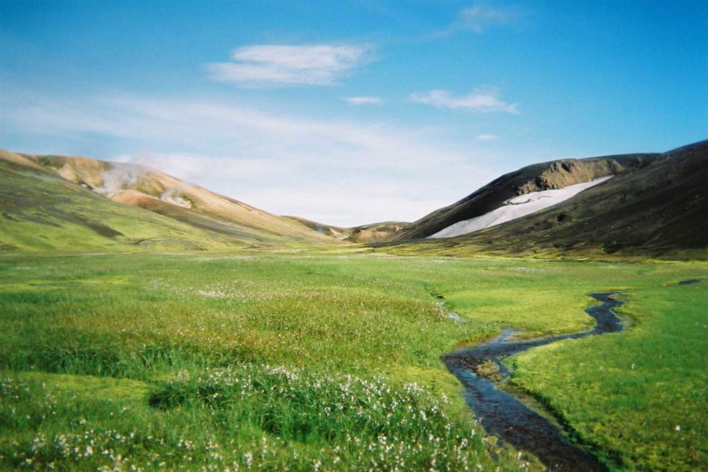 Sagas - ein Schatz, den es zu entdecken gilt