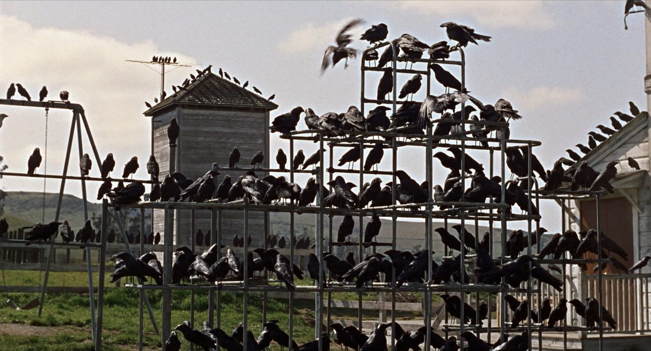 Psychose» et «Les Oiseaux», deux films qui ne font qu'un