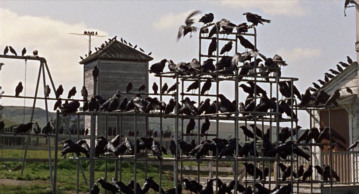 Les Oiseaux © Universal Pictures Les Oiseaux © Universal Pictures