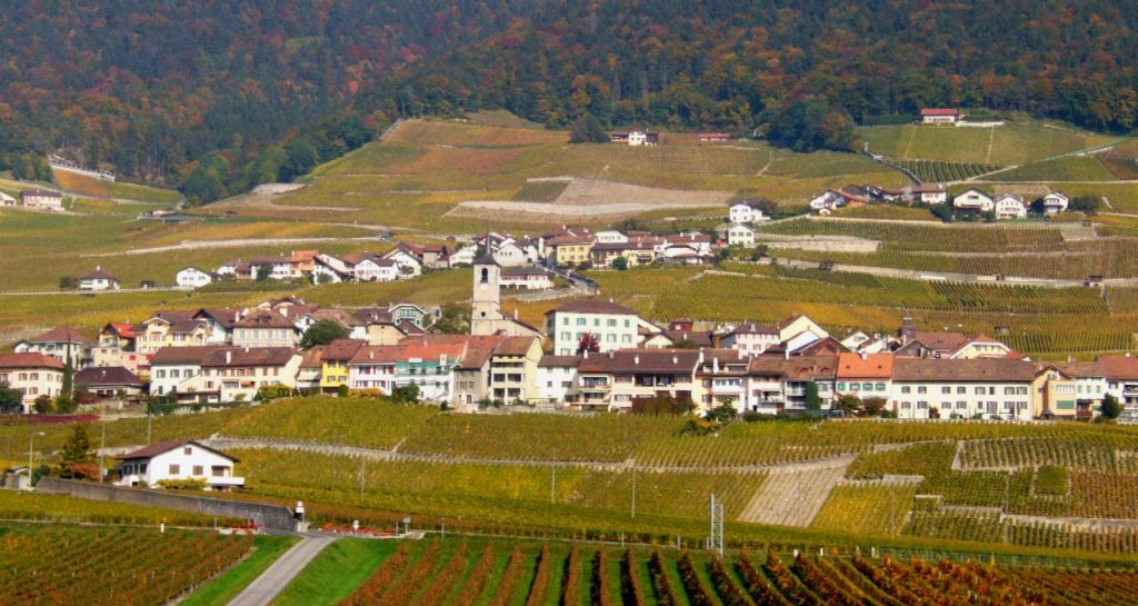 Quand Ramuz, gamin, s’enivrait à Yvorne