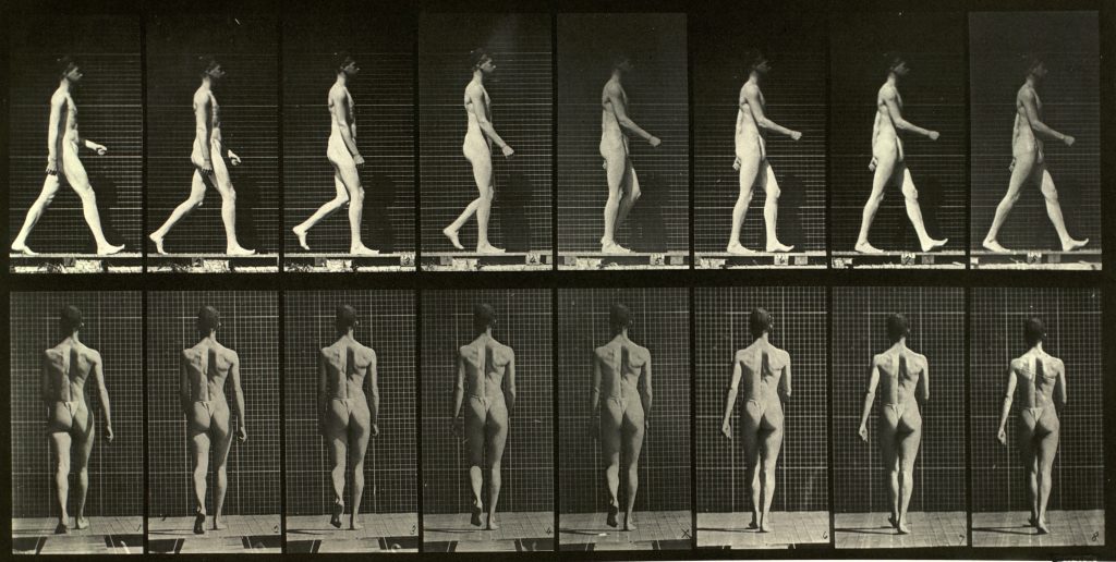 Visual arts, cinema... and philosophy