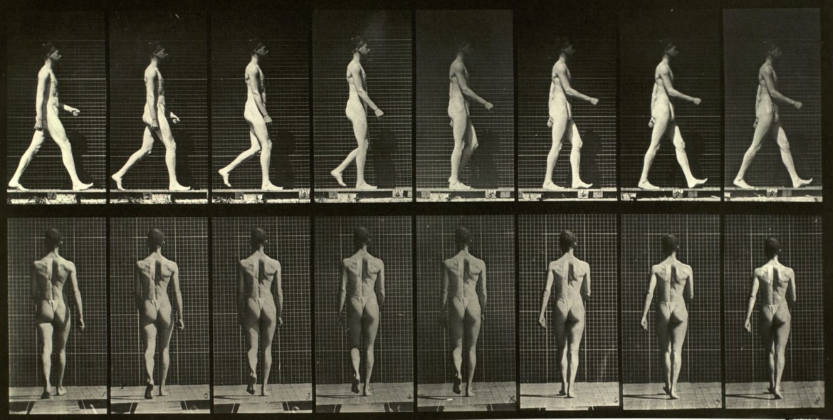 CINEMA_Muybridge_Males-_pelvis-cloth_.Pl.-n__9_HDweb_light