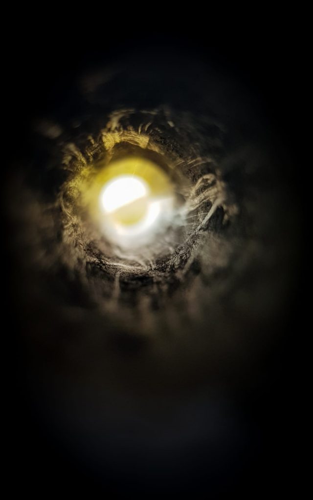 «Camus» "Der Fremde": Was wäre, wenn Meursaults Prozess nicht der richtige wäre?