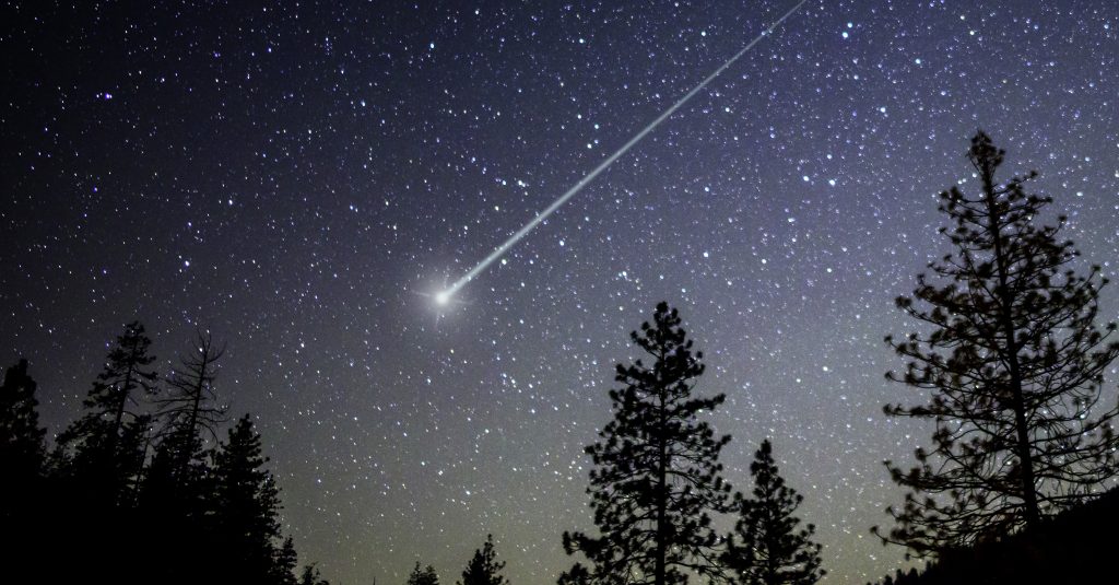 Die erzählende Poesie von Mathilde Vischer