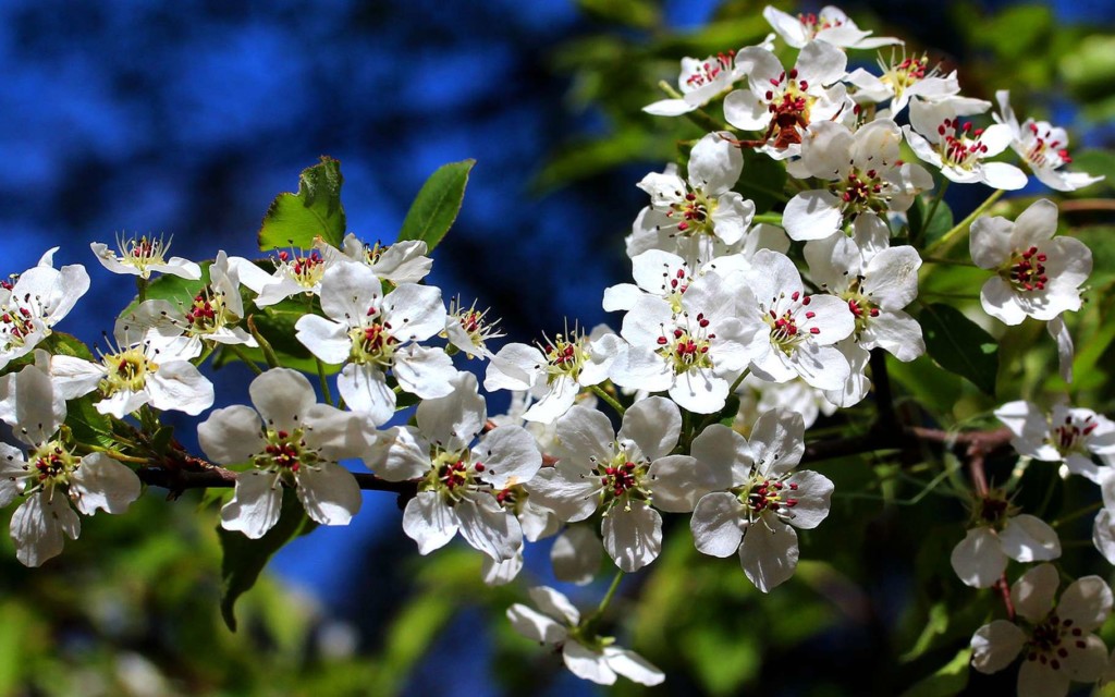 Wanderings and thoughts of a solitary walker in times of health crisis