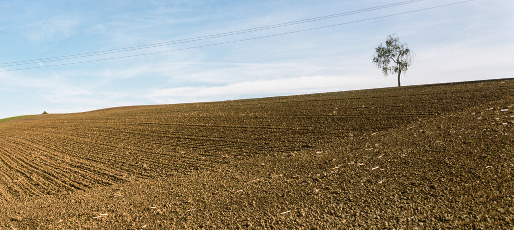 Champ et hors-champ (weiße Karte von Patrick Gilliéron Lopreno)