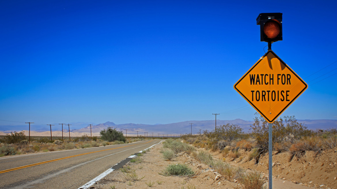 California Dreamin' © Bernard Léchot pour Le Regard Libre