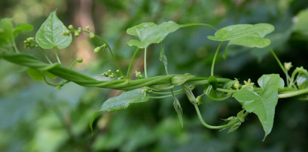 Licht in allen Etagen des Lebens