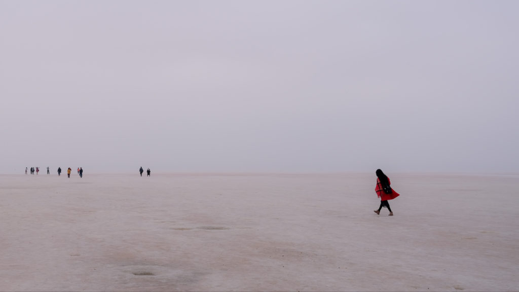 Die große Ersetzung: Zurück zum Text