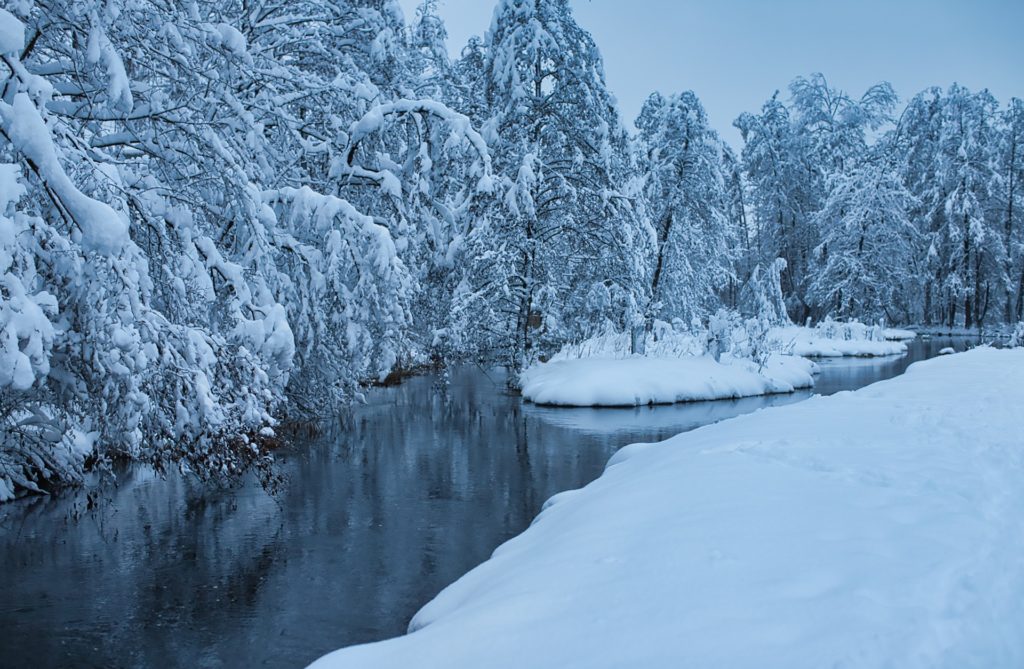 Le voyage hivernal d’Astérix