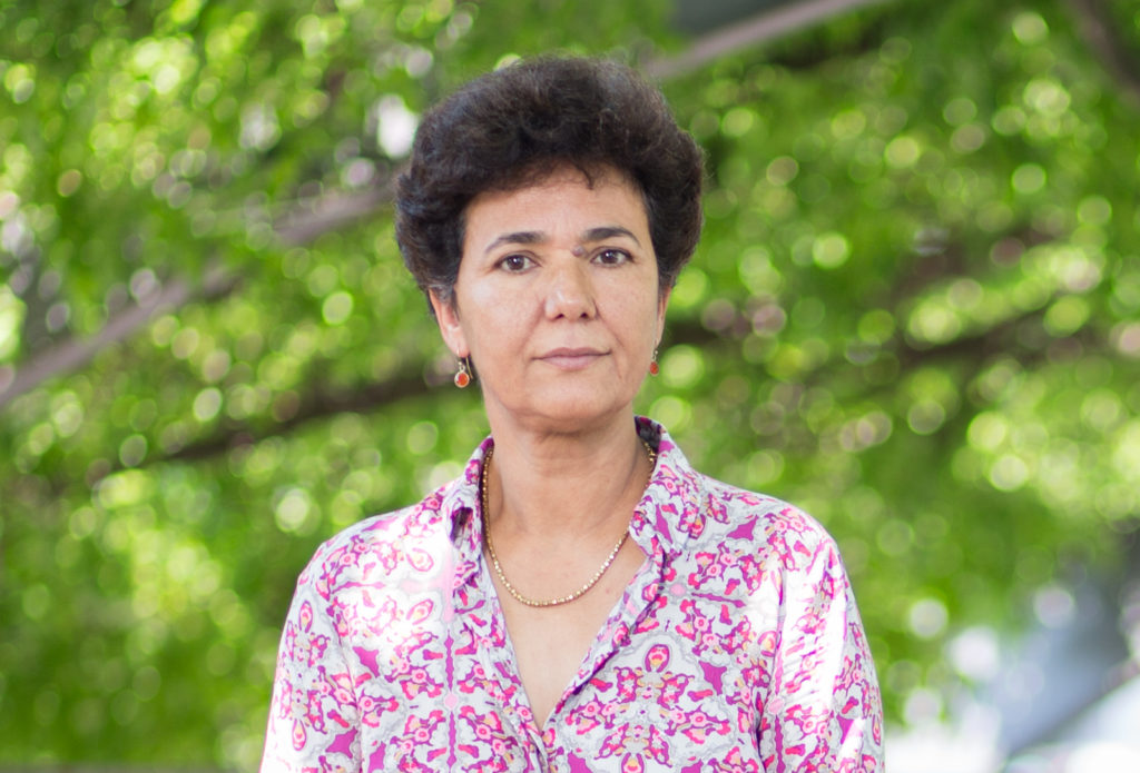 Switzerland and Europe: when taxes finance political Islam