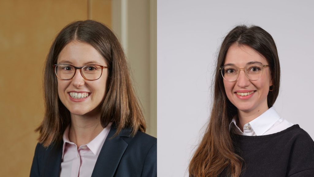 Leveraging the labor market to finance the AHV scheme