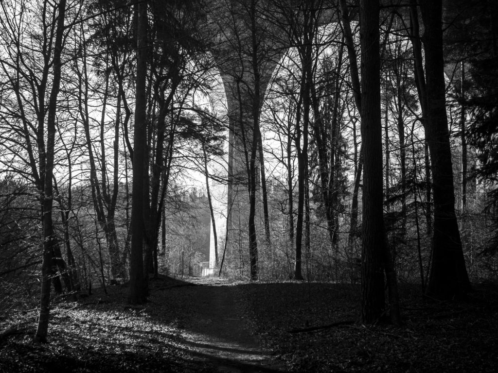 Die Ausarbeitungstagebücher von Theodor Wildt (10/10)