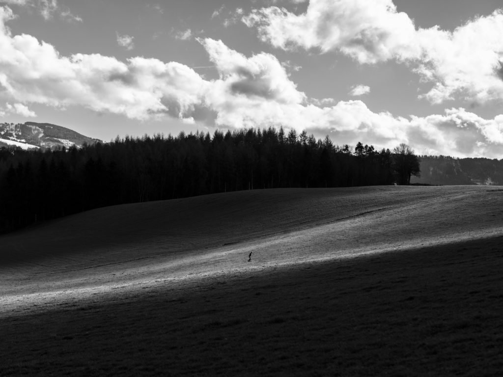 Die Ausarbeitungstagebücher von Theodor Wildt (10/10)