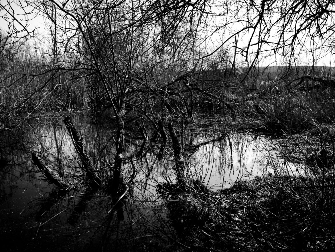 Photo: Theodor Wildt