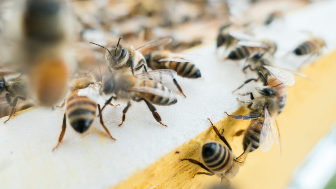 Photo: Massimiliano Latella (via Unsplash) Photo: Massimiliano Latella (via Unsplash)