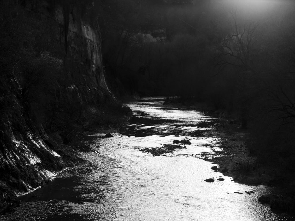 Die Ausarbeitungstagebücher von Theodor Wildt (10/10)