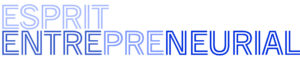 esprit entrepreneurial