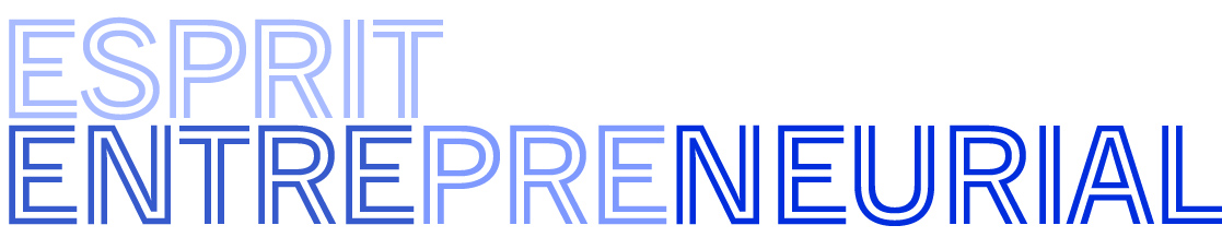 esprit entrepreneurial