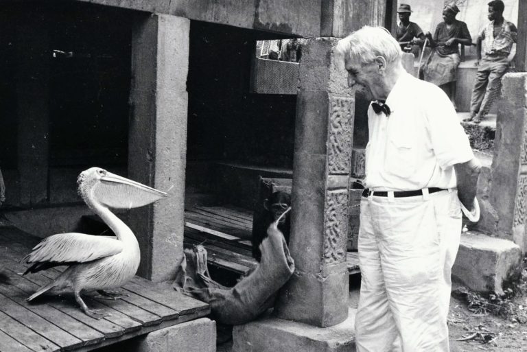 Albert Schweitzer, précurseur du respect des animaux