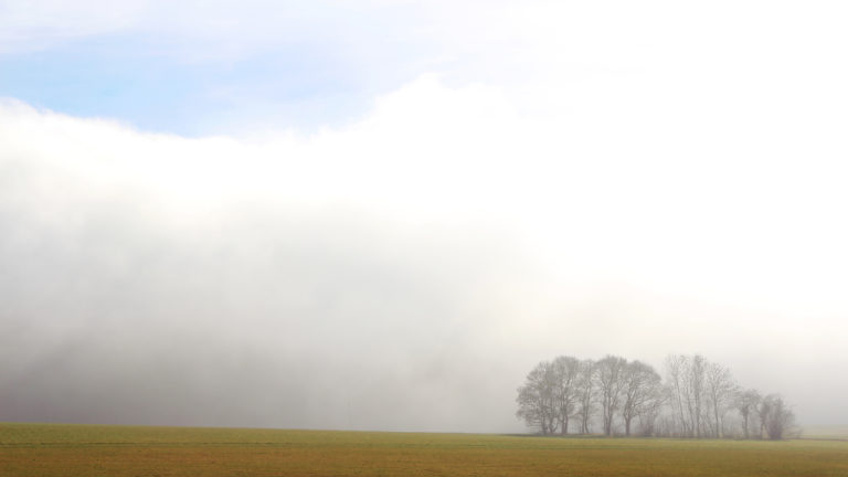 Aux frontières de la brume