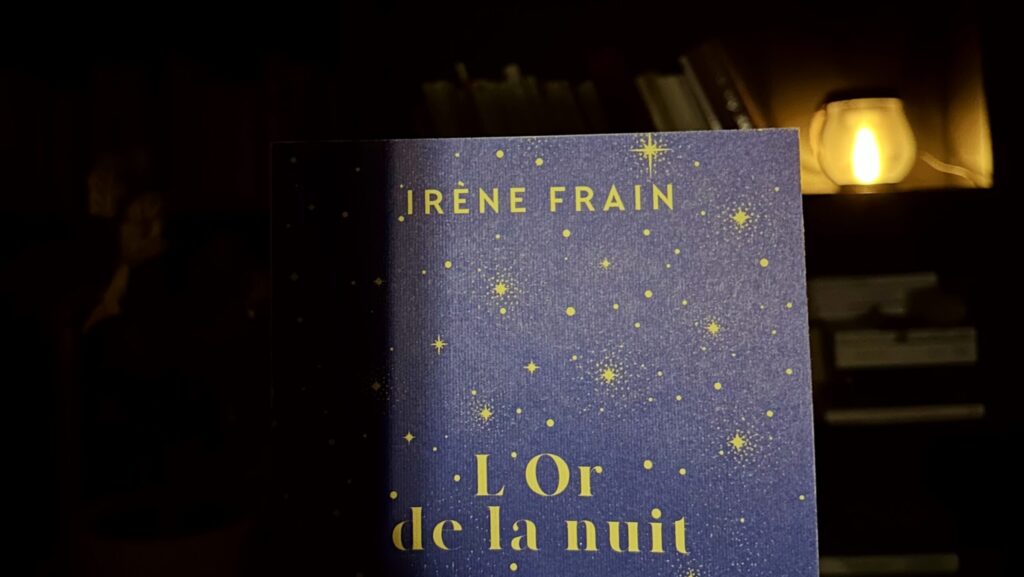 Irène Frain, das Gold der Versprechungen 