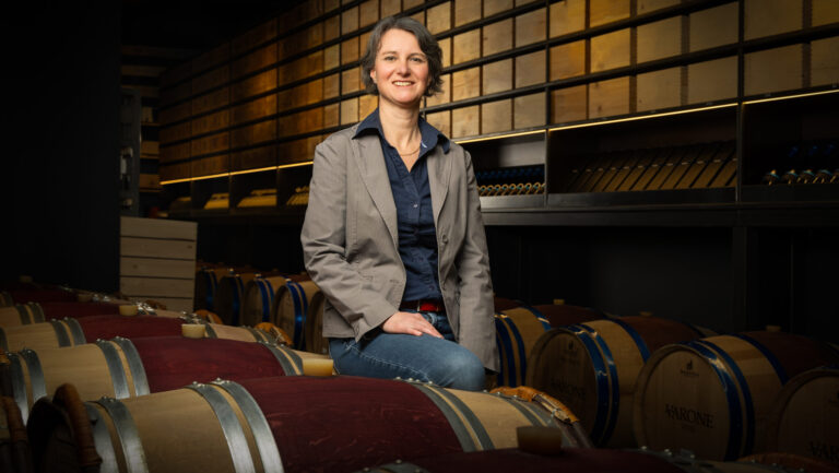 Rediscovering the pioneering spirit of wine 