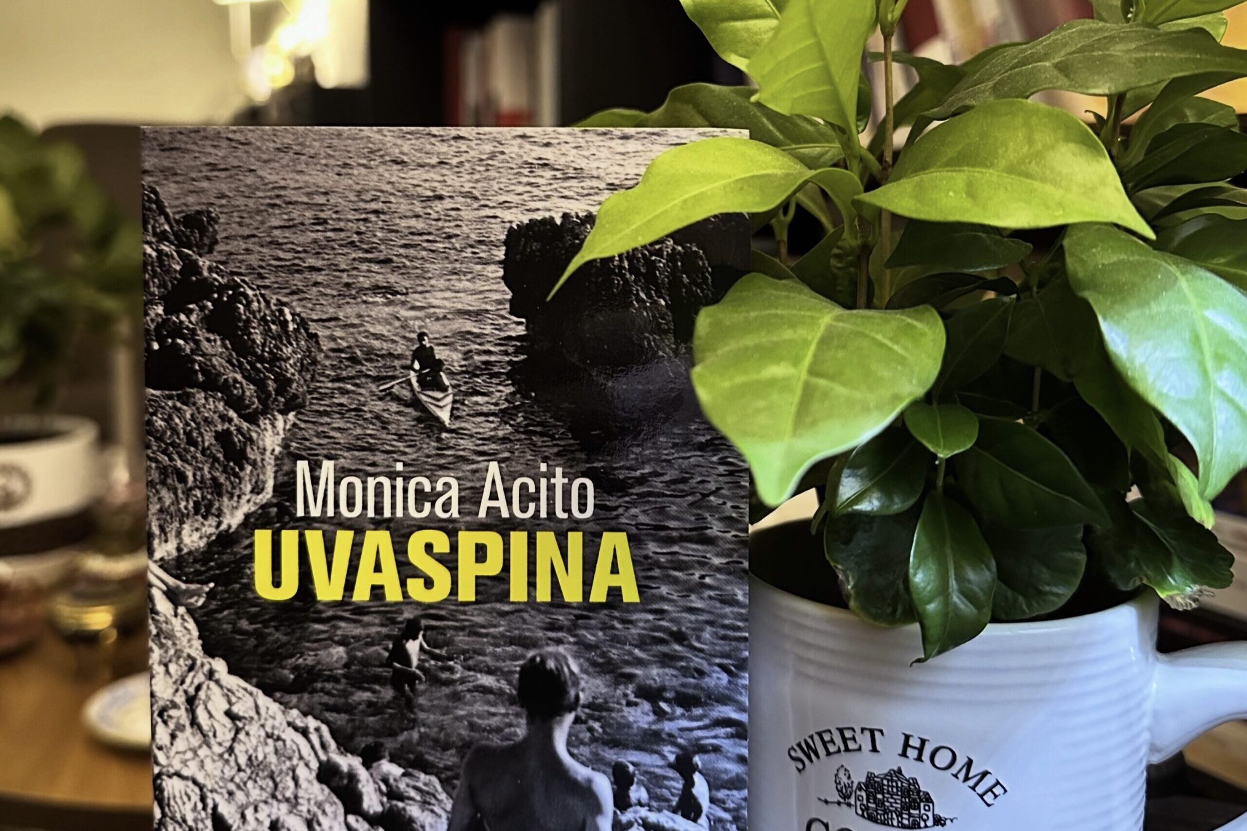 «Uvaspina», tenir le diable par les cornes