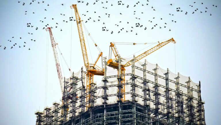 When «governing based on needs» Leads to a Planned Economy